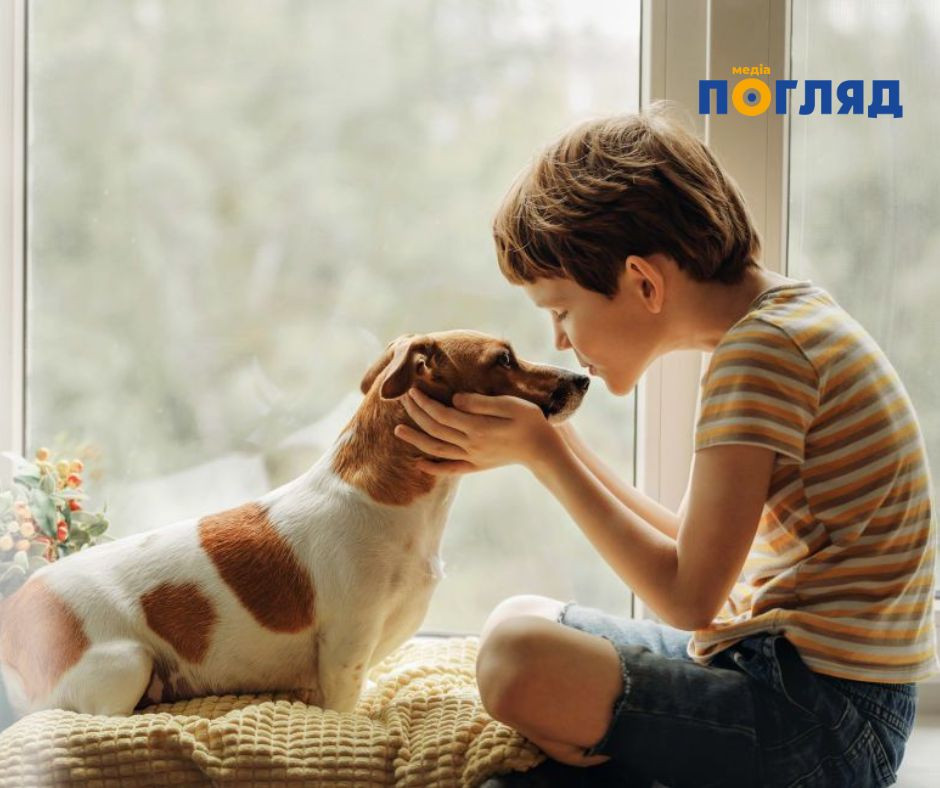 В українських школах запроваджують уроки гуманного ставлення до тварин: що відомо про нову ініціативу МОН (ФОТО) - зображення